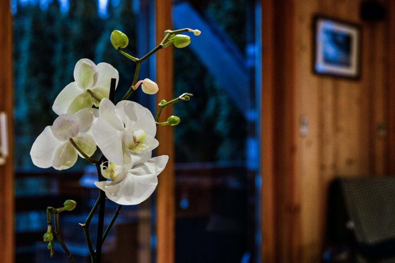 Yeti Lodge Rooms Аржантьер Экстерьер фото
